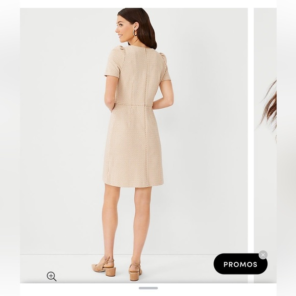 Ann Taylor Geo Flare Dress Whiskey Cream. Size 14T. - Picture 4 of 14